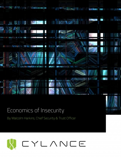 economics_of_insecurity